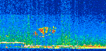 /calipso-imagery/data/BROWSE/production/V5-00/2017-01-25/2017-01-25_08-54-30_V5.00_2_thmb.png image missing