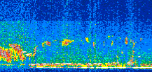 /calipso-imagery/data/BROWSE/production/V5-00/2017-01-25/2017-01-25_22-05-37_V5.00_2_thmb.png image missing