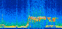 /calipso-imagery/data/BROWSE/production/V5-00/2017-01-25/2017-01-25_22-05-37_V5.00_3_thmb.png image missing