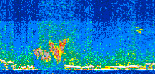 /calipso-imagery/data/BROWSE/production/V5-00/2017-01-27/2017-01-27_07-03-26_V5.00_2_thmb.png image missing