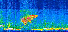 /calipso-imagery/data/BROWSE/production/V5-00/2017-01-27/2017-01-27_13-39-02_V5.00_2_thmb.png image missing