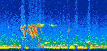/calipso-imagery/data/BROWSE/production/V5-00/2017-01-27/2017-01-27_15-17-52_V5.00_3_thmb.png image missing