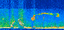 /calipso-imagery/data/BROWSE/production/V5-00/2017-01-27/2017-01-27_23-32-18_V5.00_2_thmb.png image missing