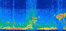 /calipso-imagery/data/BROWSE/production/V5-00/2017-01-31/2017-01-31_03-21-18_V5.00_2_thmb.png image missing