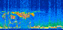 /calipso-imagery/data/BROWSE/production/V5-00/2017-01-31/2017-01-31_03-21-18_V5.00_3_thmb.png image missing