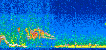/calipso-imagery/data/BROWSE/production/V5-00/2017-01-31/2017-01-31_08-17-59_V5.00_2_thmb.png image missing