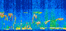/calipso-imagery/data/BROWSE/production/V5-00/2017-02-06/2017-02-06_04-23-43_V5.00_3_thmb.png image missing