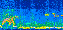 /calipso-imagery/data/BROWSE/production/V5-00/2017-02-06/2017-02-06_12-38-09_V5.00_2_thmb.png image missing