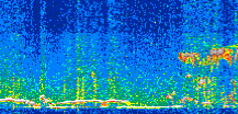 /calipso-imagery/data/BROWSE/production/V5-00/2017-02-06/2017-02-06_17-34-50_V5.00_2_thmb.png image missing
