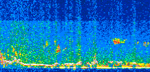 /calipso-imagery/data/BROWSE/production/V5-00/2017-02-06/2017-02-06_20-52-35_V5.00_2_thmb.png image missing