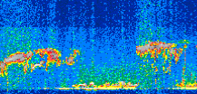/calipso-imagery/data/BROWSE/production/V5-00/2017-02-07/2017-02-07_00-10-25_V5.00_2_thmb.png image missing