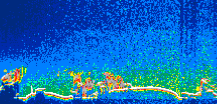 /calipso-imagery/data/BROWSE/production/V5-00/2017-02-07/2017-02-07_06-45-56_V5.00_1_thmb.png image missing