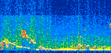 /calipso-imagery/data/BROWSE/production/V5-00/2017-02-07/2017-02-07_15-00-27_V5.00_2_thmb.png image missing