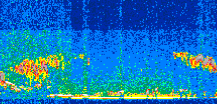 /calipso-imagery/data/BROWSE/production/V5-00/2017-02-08/2017-02-08_20-40-26_V5.00_2_thmb.png image missing