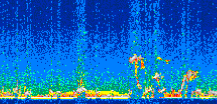 /calipso-imagery/data/BROWSE/production/V5-00/2017-02-08/2017-02-08_22-19-22_V5.00_3_thmb.png image missing