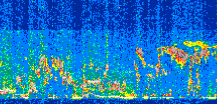 /calipso-imagery/data/BROWSE/production/V5-00/2017-03-02/2017-03-02_03-36-49_V5.00_2_thmb.png image missing