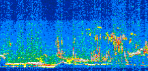 /calipso-imagery/data/BROWSE/production/V5-00/2017-03-02/2017-03-02_11-51-15_V5.00_2_thmb.png image missing