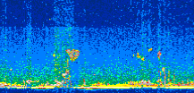 /calipso-imagery/data/BROWSE/production/V5-00/2017-03-02/2017-03-02_21-44-37_V5.00_2_thmb.png image missing