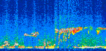 /calipso-imagery/data/BROWSE/production/V5-00/2017-03-02/2017-03-02_23-23-32_V5.00_3_thmb.png image missing