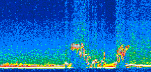 /calipso-imagery/data/BROWSE/production/V5-00/2017-03-11/2017-03-11_00-13-53_V5.00_3_thmb.png image missing
