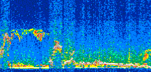 /calipso-imagery/data/BROWSE/production/V5-00/2017-03-12/2017-03-12_02-36-11_V5.00_3_thmb.png image missing