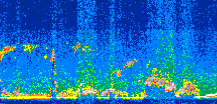 /calipso-imagery/data/BROWSE/production/V5-00/2017-03-12/2017-03-12_04-15-01_V5.00_3_thmb.png image missing