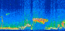 /calipso-imagery/data/BROWSE/production/V5-00/2017-03-15/2017-03-15_01-28-31_V5.00_3_thmb.png image missing