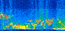 /calipso-imagery/data/BROWSE/production/V5-00/2017-03-15/2017-03-15_08-04-07_V5.00_3_thmb.png image missing
