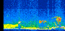 /calipso-imagery/data/BROWSE/production/V5-00/2017-03-15/2017-03-15_11-21-52_V5.00_3_thmb.png image missing