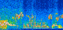 /calipso-imagery/data/BROWSE/production/V5-00/2017-04-09/2017-04-09_17-53-52_V5.00_2_thmb.png image missing