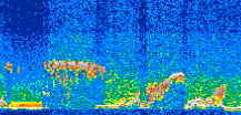 /calipso-imagery/data/BROWSE/production/V5-00/2017-04-28/2017-04-28_01-58-00_V5.00_3_thmb.png image missing