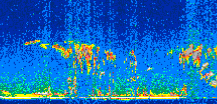/calipso-imagery/data/BROWSE/production/V5-00/2017-04-28/2017-04-28_03-36-50_V5.00_2_thmb.png image missing