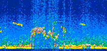 /calipso-imagery/data/BROWSE/production/V5-00/2017-04-28/2017-04-28_23-23-33_V5.00_2_thmb.png image missing