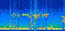 /calipso-imagery/data/BROWSE/production/V5-00/2017-06-09/2017-06-09_00-58-43_V5.00_2_thmb.png image missing