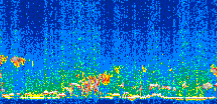 /calipso-imagery/data/BROWSE/production/V5-00/2017-06-09/2017-06-09_00-58-43_V5.00_3_thmb.png image missing