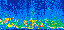 /calipso-imagery/data/BROWSE/production/V5-00/2017-06-09/2017-06-09_07-34-14_V5.00_3_thmb.png image missing