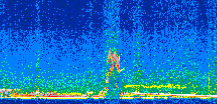 /calipso-imagery/data/BROWSE/production/V5-00/2017-06-09/2017-06-09_20-45-21_V5.00_2_thmb.png image missing