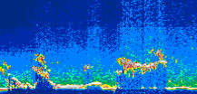 /calipso-imagery/data/BROWSE/production/V5-00/2017-06-16/2017-06-16_04-22-41_V5.00_1_thmb.png image missing