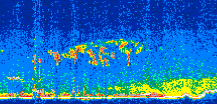 /calipso-imagery/data/BROWSE/production/V5-00/2017-06-16/2017-06-16_09-19-22_V5.00_2_thmb.png image missing