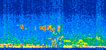 /calipso-imagery/data/BROWSE/production/V5-00/2017-06-16/2017-06-16_20-51-33_V5.00_2_thmb.png image missing