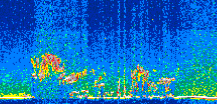 /calipso-imagery/data/BROWSE/production/V5-00/2017-06-16/2017-06-16_22-30-23_V5.00_3_thmb.png image missing