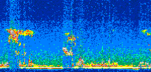 /calipso-imagery/data/BROWSE/production/V5-00/2017-06-19/2017-06-19_01-35-50_V5.00_2_thmb.png image missing