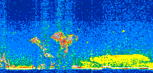 /calipso-imagery/data/BROWSE/production/V5-00/2017-06-19/2017-06-19_09-50-16_V5.00_2_thmb.png image missing