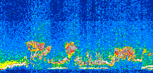 /calipso-imagery/data/BROWSE/production/V5-00/2017-06-19/2017-06-19_09-50-16_V5.00_3_thmb.png image missing