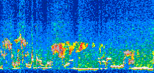 /calipso-imagery/data/BROWSE/production/V5-00/2017-06-19/2017-06-19_18-04-37_V5.00_3_thmb.png image missing