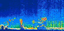 /calipso-imagery/data/BROWSE/production/V5-00/2017-06-19/2017-06-19_19-43-32_V5.00_1_thmb.png image missing