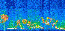 /calipso-imagery/data/BROWSE/production/V5-00/2017-06-23/2017-06-23_02-49-58_V5.00_3_thmb.png image missing