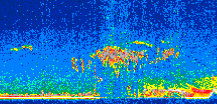 /calipso-imagery/data/BROWSE/production/V5-00/2017-06-24/2017-06-24_08-29-47_V5.00_2_thmb.png image missing