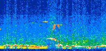 /calipso-imagery/data/BROWSE/production/V5-00/2017-06-24/2017-06-24_21-40-53_V5.00_2_thmb.png image missing