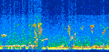 /calipso-imagery/data/BROWSE/production/V5-00/2017-08-09/2017-08-09_00-25-21_V5.00_2_thmb.png image missing